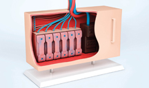 商业智能分析的电话轰炸免费在线网站